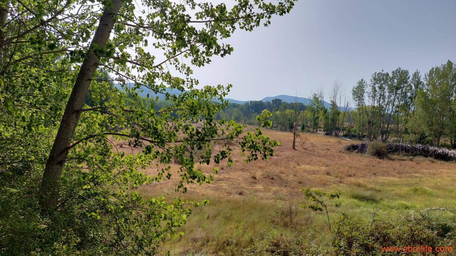 1 soverom Finca/Herregård til salgs i Mas de las Matas - € 89 000 (Ref: 7744520)