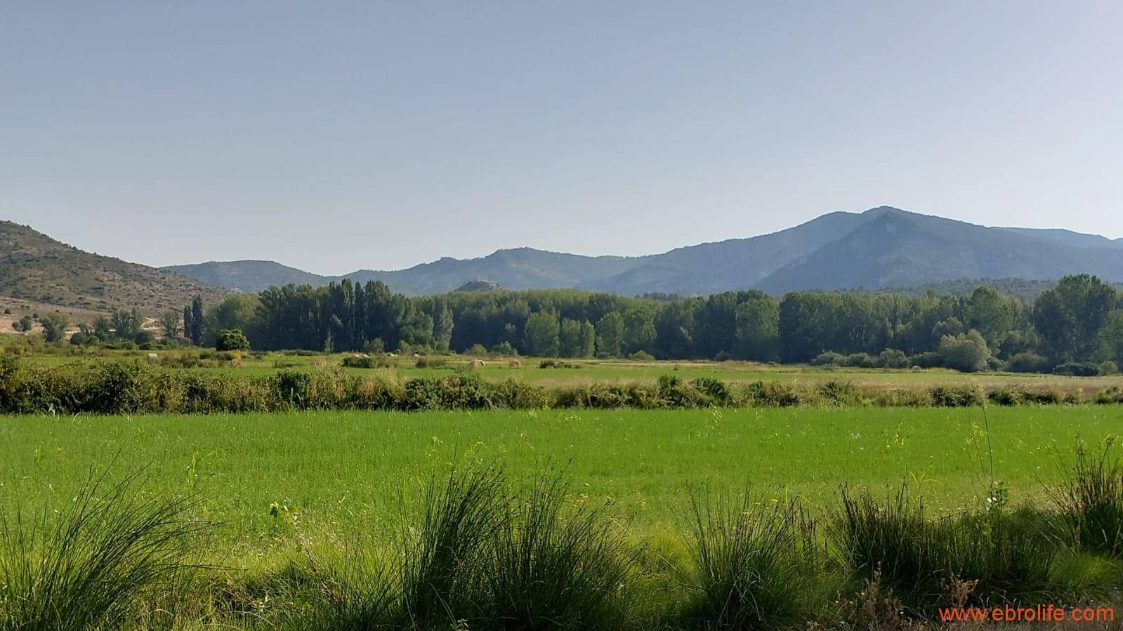 1 soverom Finca/Herregård til salgs i Mas de las Matas - € 89 000 (Ref: 7744520)