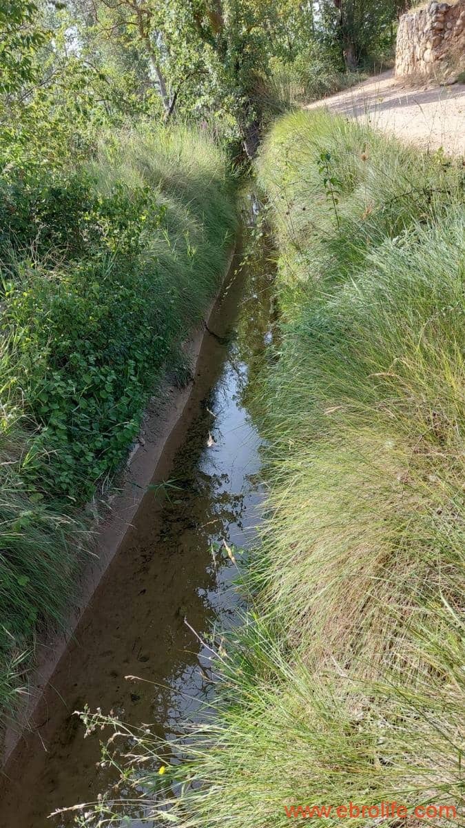 1 soverom Finca/Herregård til salgs i Mas de las Matas - € 89 000 (Ref: 7744520)