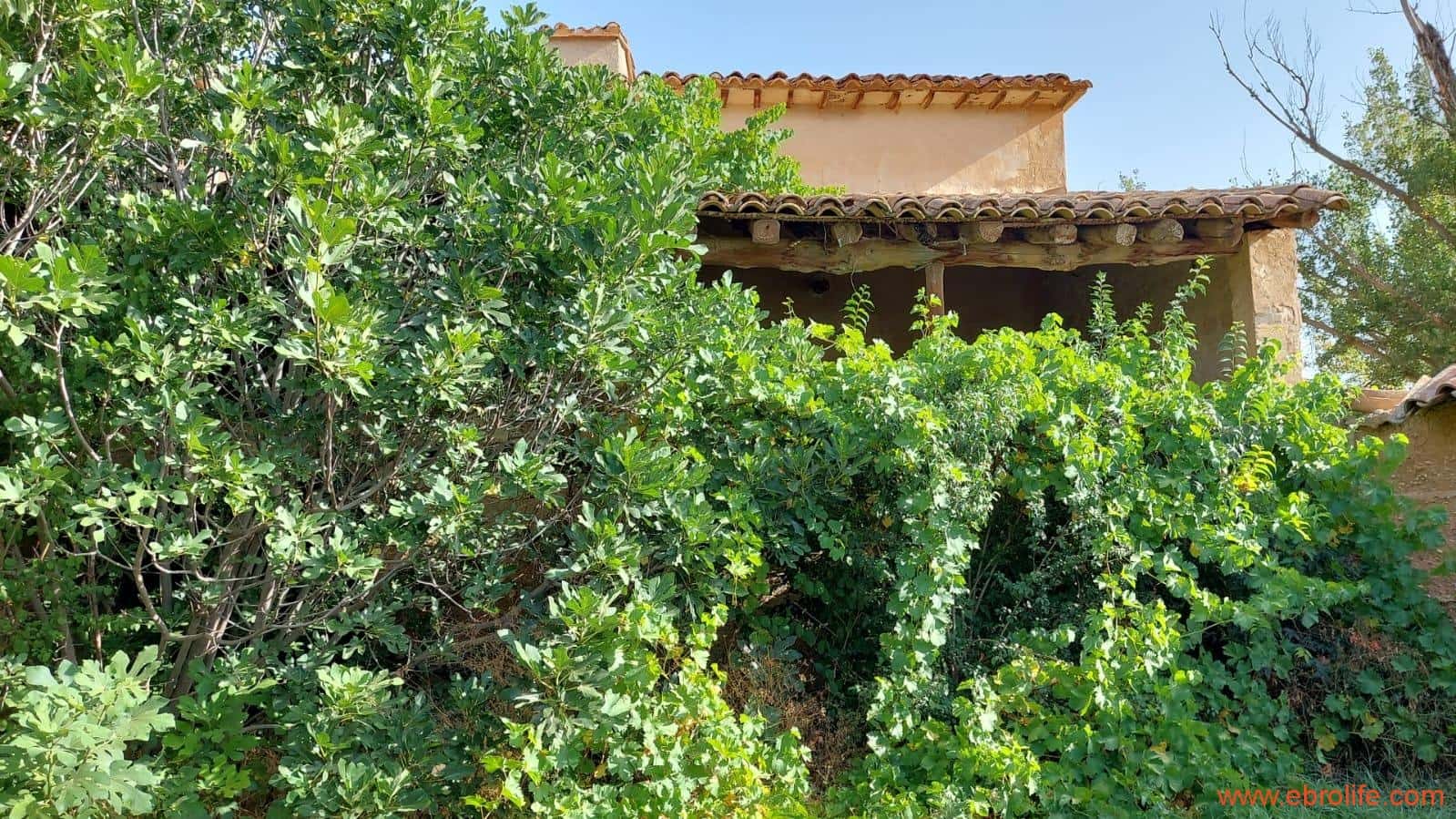 1 soverom Finca/Herregård til salgs i Mas de las Matas - € 89 000 (Ref: 7744520)