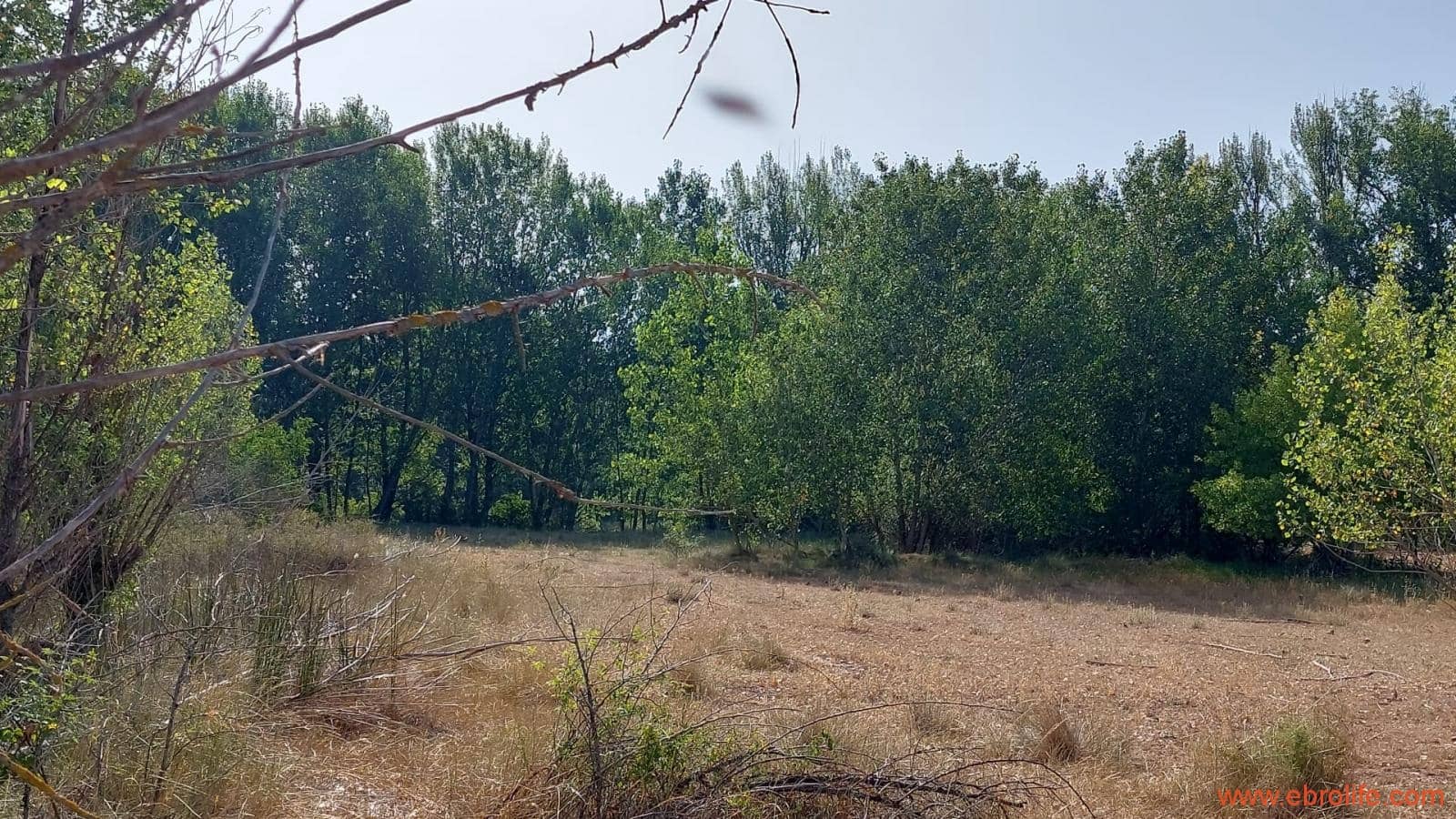 1 soverom Finca/Herregård til salgs i Mas de las Matas - € 89 000 (Ref: 7744520)