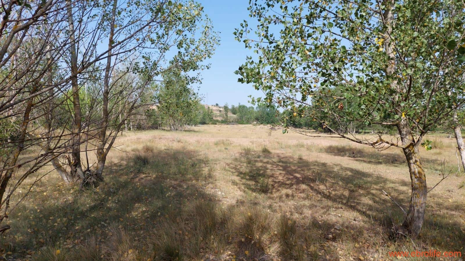 1 soverom Finca/Herregård til salgs i Mas de las Matas - € 89 000 (Ref: 7744520)