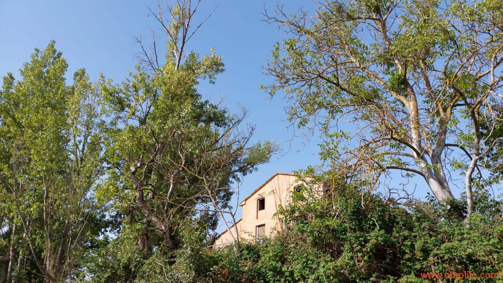 1 soverom Finca/Herregård til salgs i Mas de las Matas - € 89 000 (Ref: 7744520)