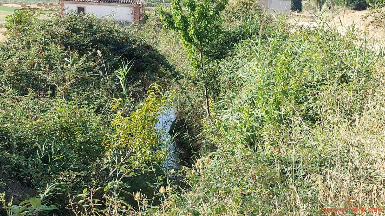 1 soverom Finca/Herregård til salgs i Mas de las Matas - € 89 000 (Ref: 7744520)