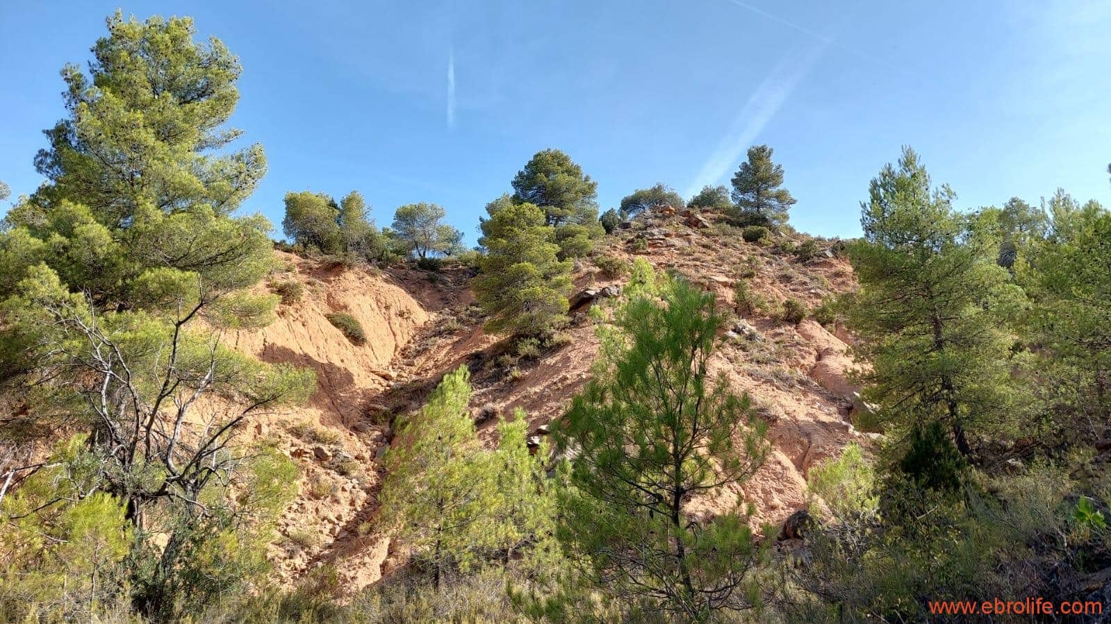 1 soveværelse Finca/Landehus til salg i Fuentespalda - € 33.000 (Ref: 7778722)