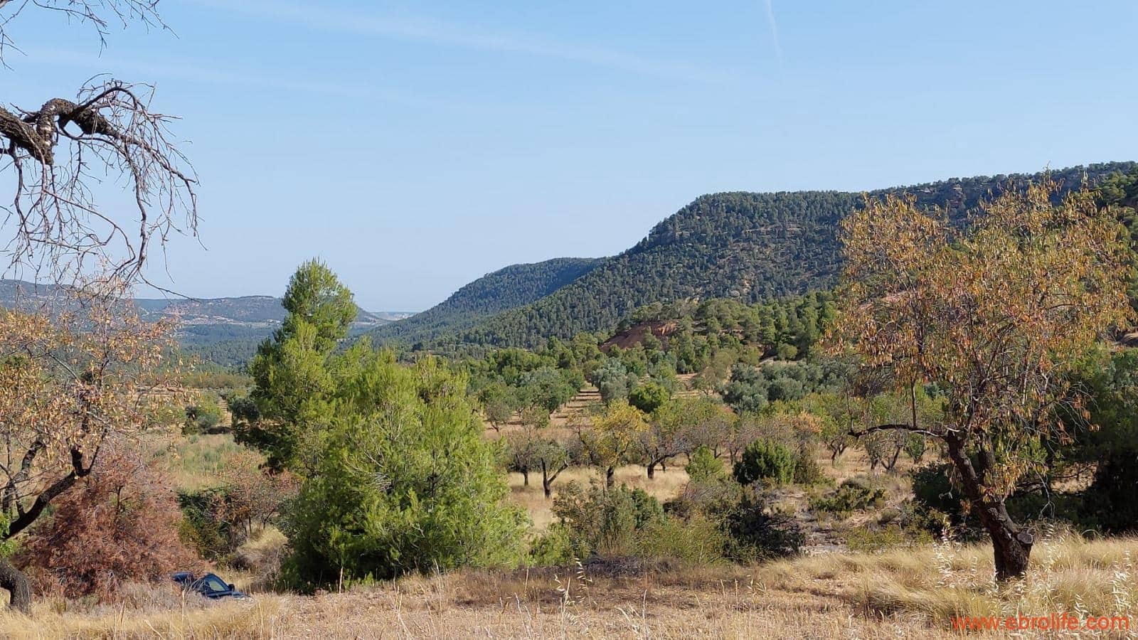 1 soveværelse Finca/Landehus til salg i Fuentespalda - € 33.000 (Ref: 7778722)