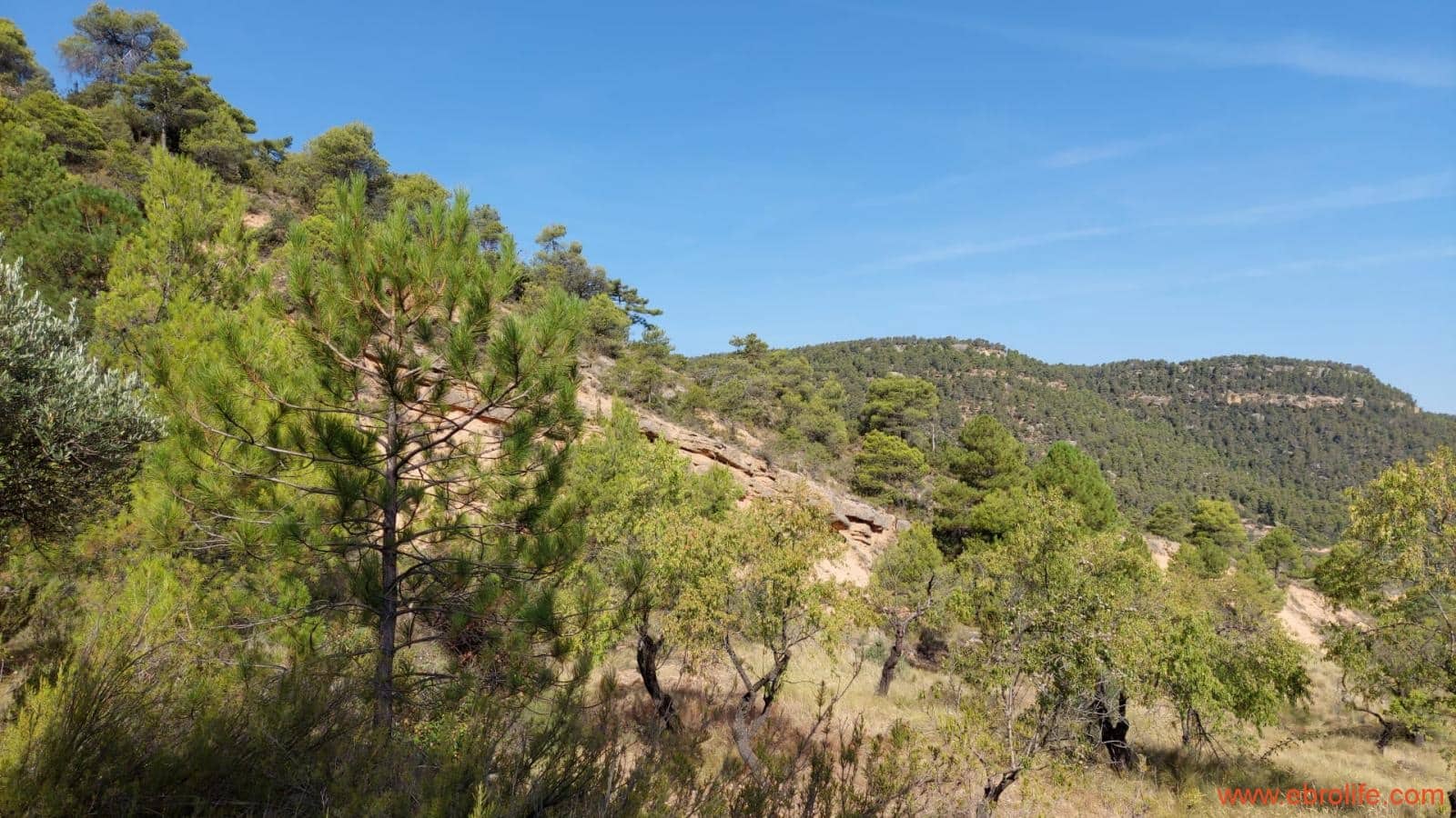 1 soveværelse Finca/Landehus til salg i Fuentespalda - € 33.000 (Ref: 7778722)