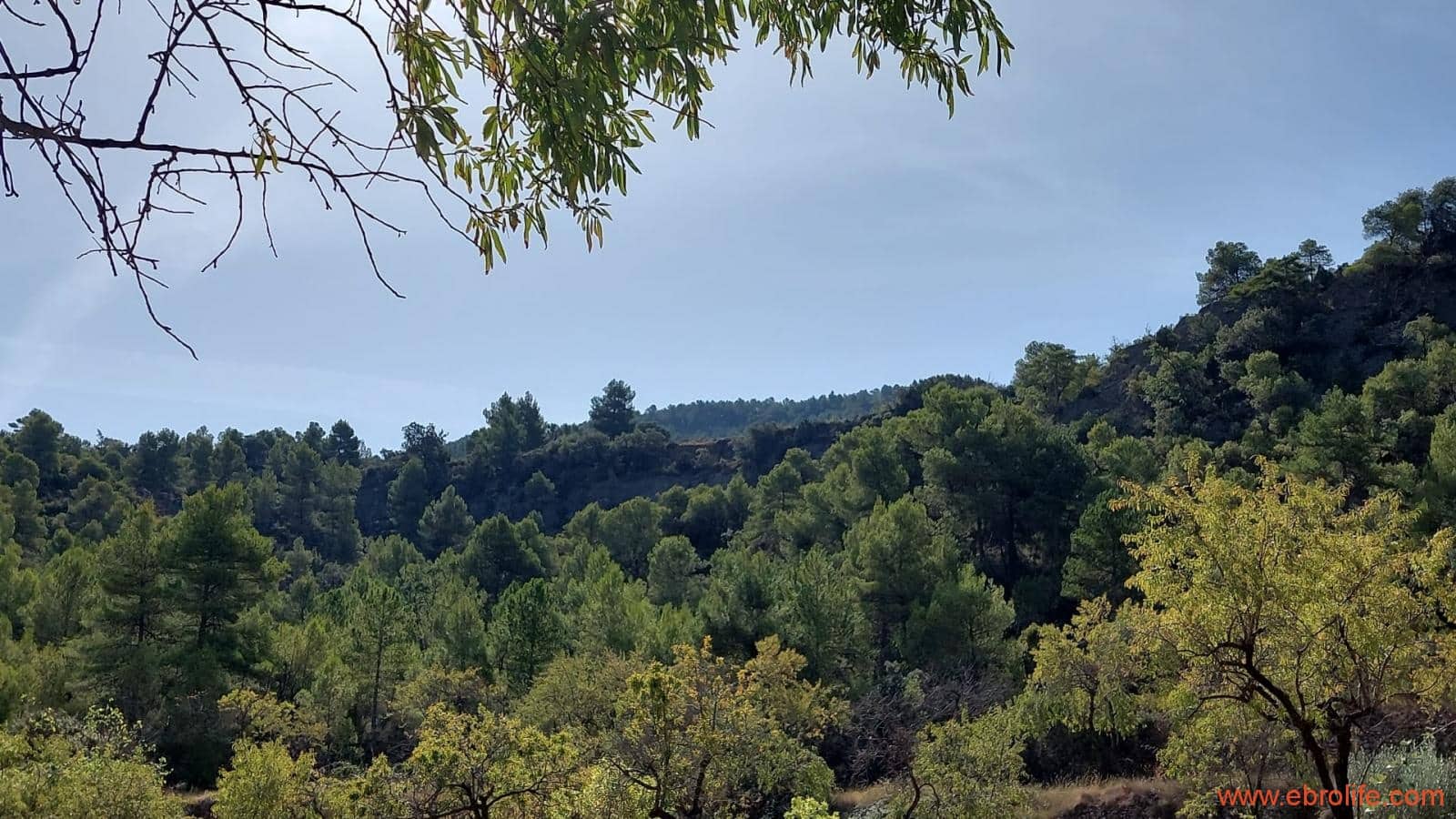 1 soveværelse Finca/Landehus til salg i Fuentespalda - € 33.000 (Ref: 7778722)