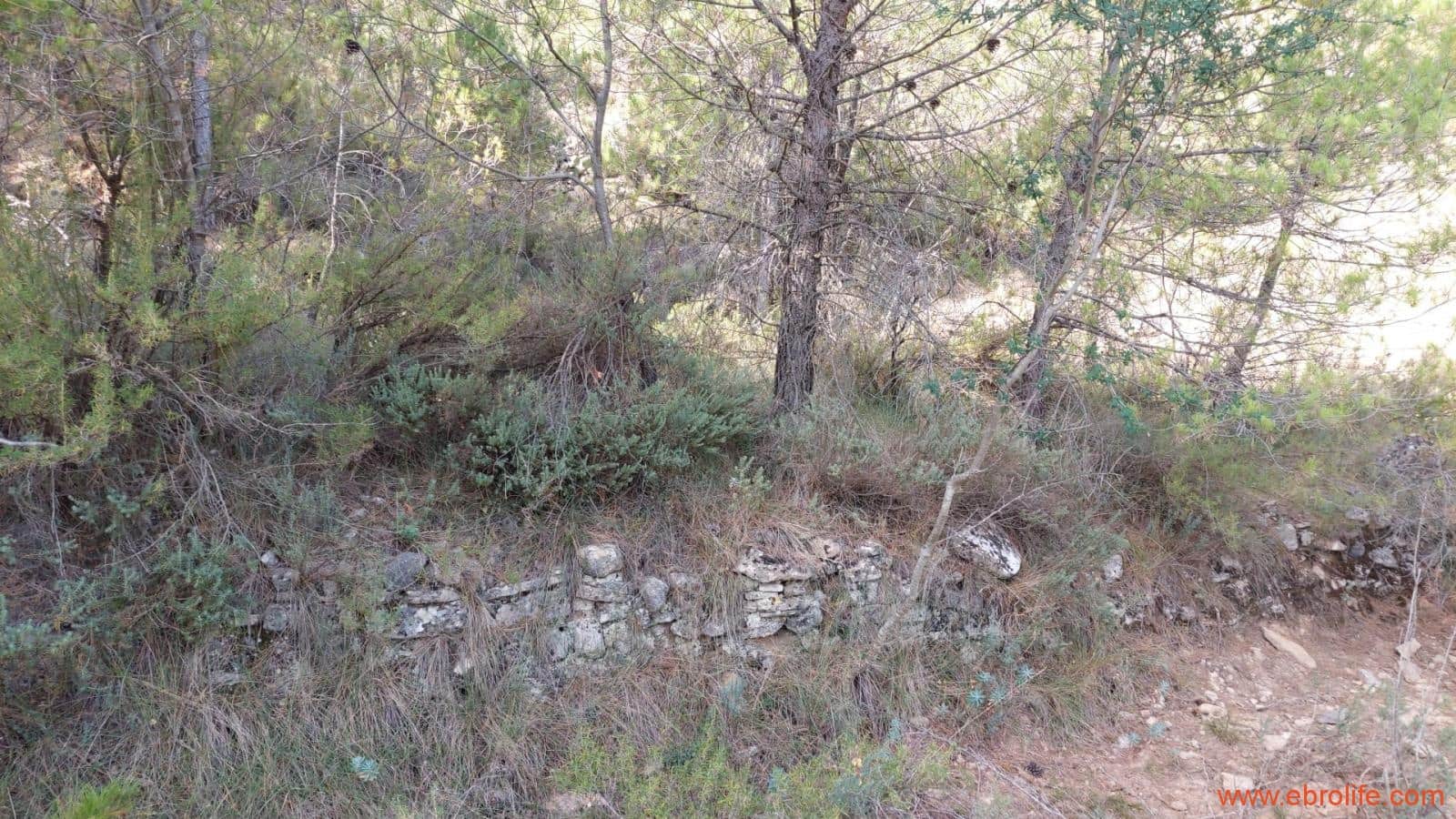 1 soveværelse Finca/Landehus til salg i Fuentespalda - € 33.000 (Ref: 7778722)