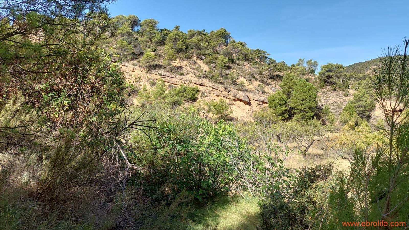 1 soveværelse Finca/Landehus til salg i Fuentespalda - € 33.000 (Ref: 7778722)