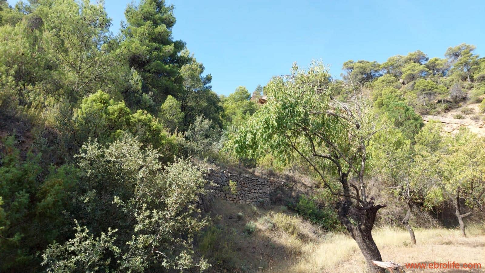 1 soveværelse Finca/Landehus til salg i Fuentespalda - € 33.000 (Ref: 7778722)