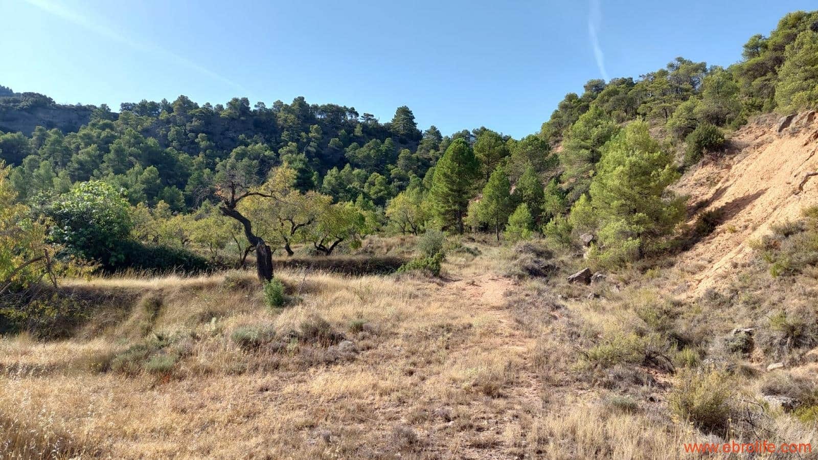 1 soveværelse Finca/Landehus til salg i Fuentespalda - € 33.000 (Ref: 7778722)