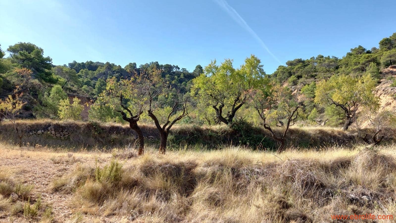 1 soveværelse Finca/Landehus til salg i Fuentespalda - € 33.000 (Ref: 7778722)