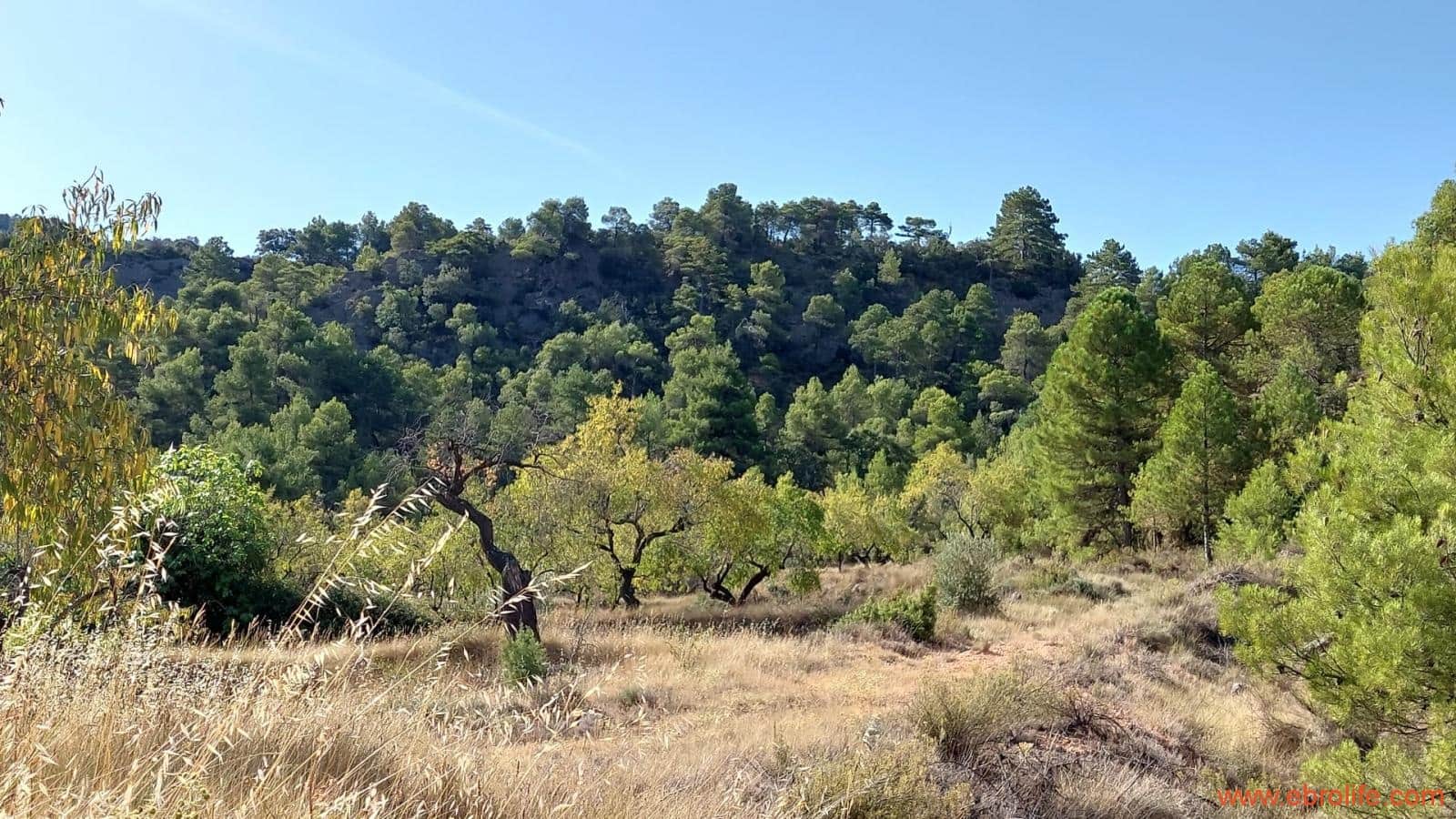 1 soveværelse Finca/Landehus til salg i Fuentespalda - € 33.000 (Ref: 7778722)