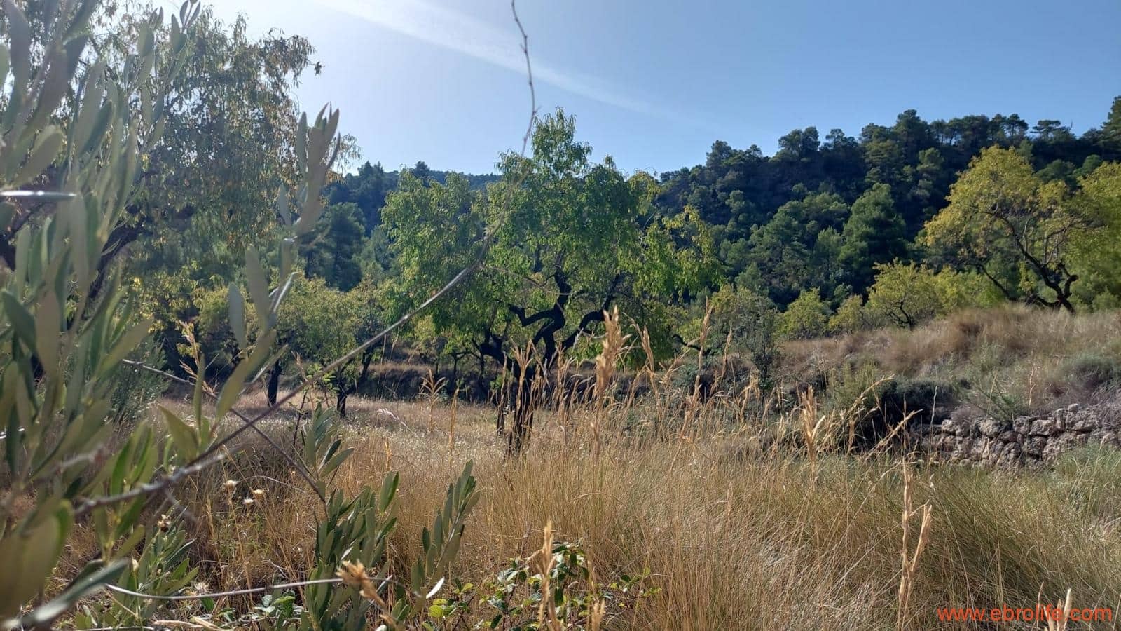 1 soveværelse Finca/Landehus til salg i Fuentespalda - € 33.000 (Ref: 7778722)