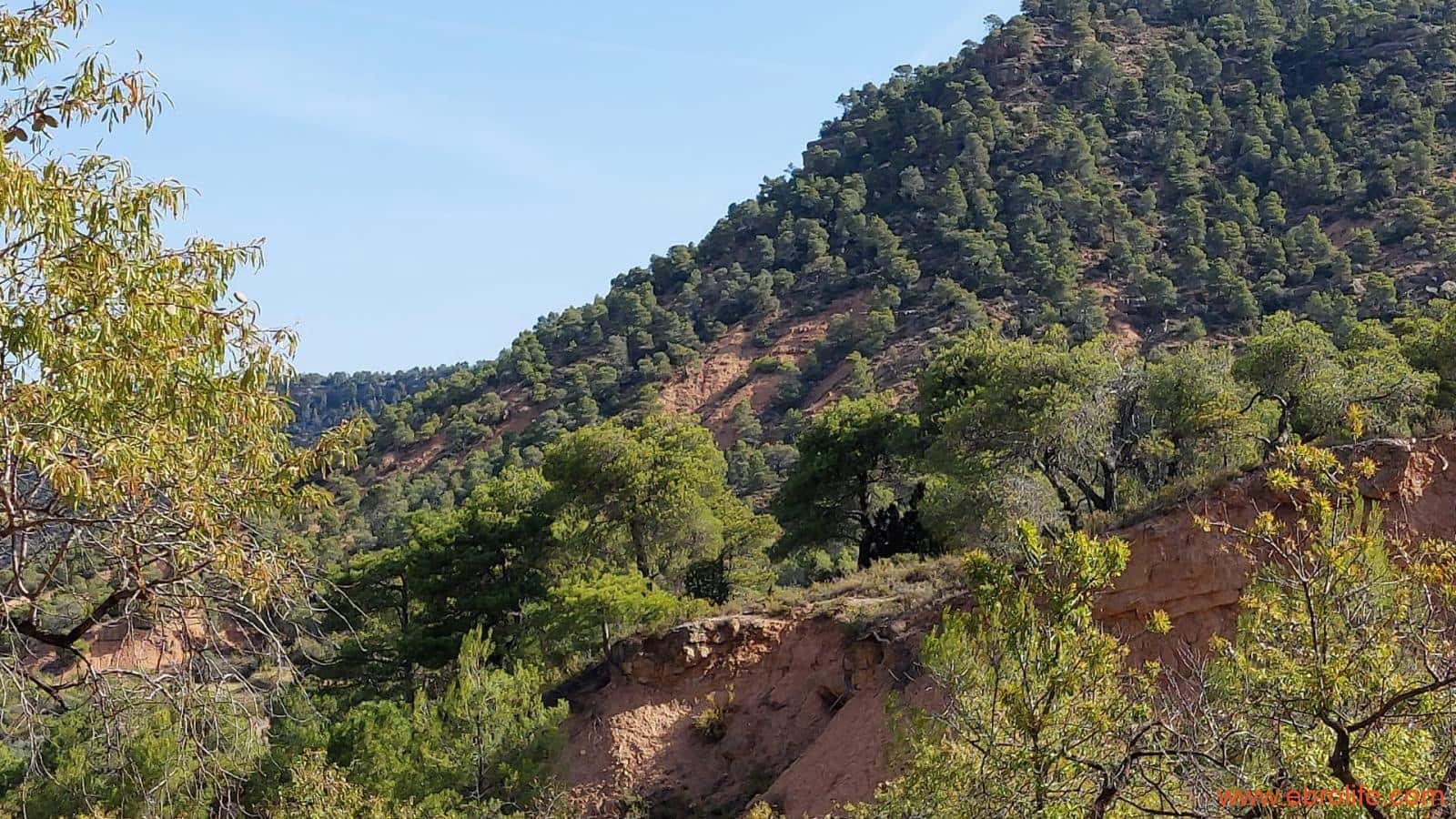 1 soveværelse Finca/Landehus til salg i Fuentespalda - € 33.000 (Ref: 7778722)