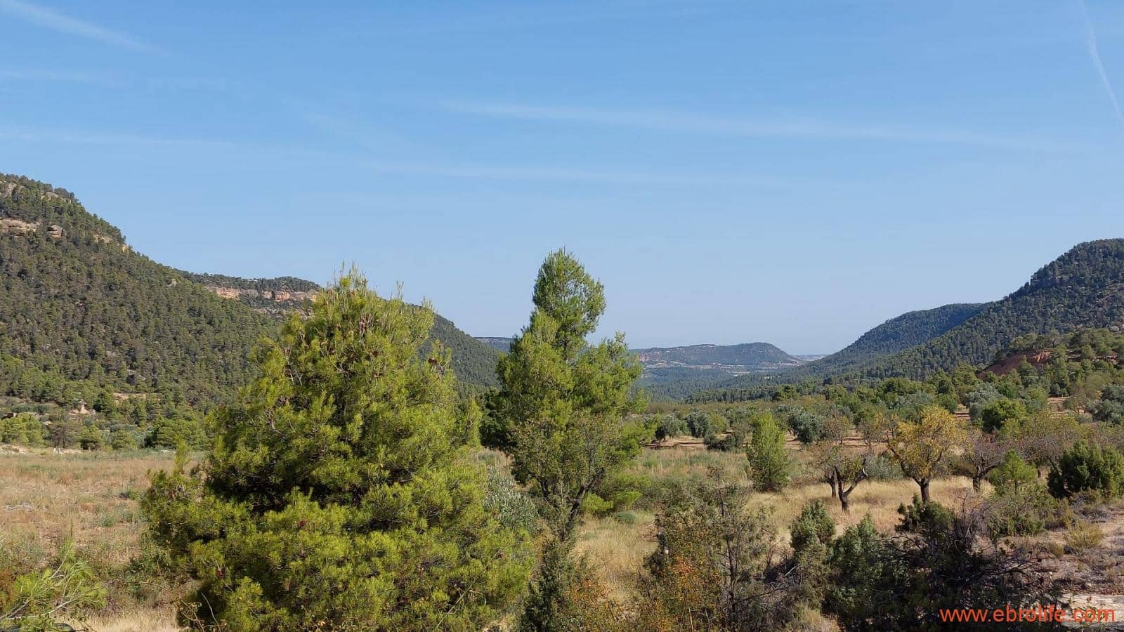 1 soveværelse Finca/Landehus til salg i Fuentespalda - € 33.000 (Ref: 7778722)