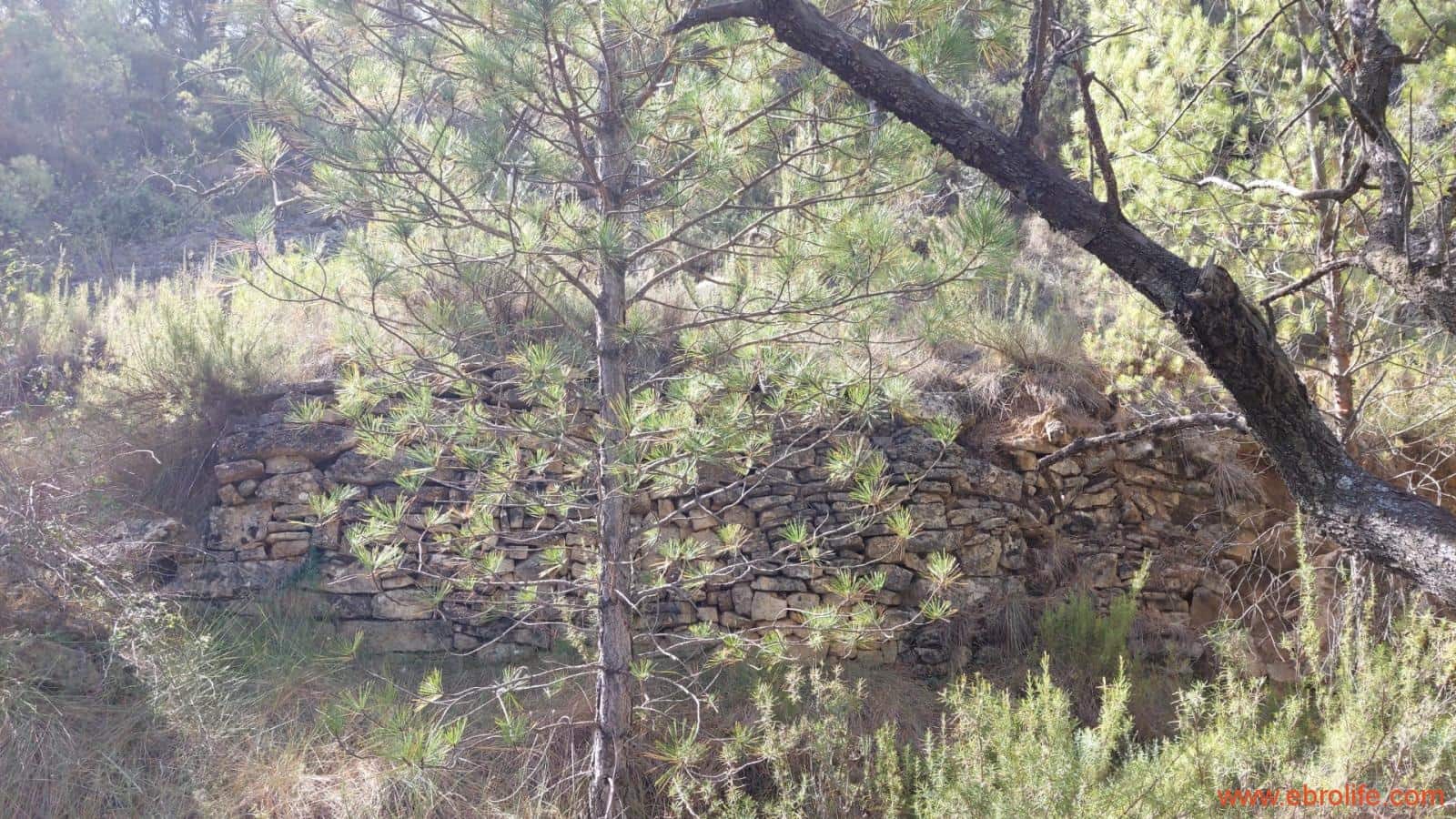 1 soveværelse Finca/Landehus til salg i Fuentespalda - € 33.000 (Ref: 7778722)