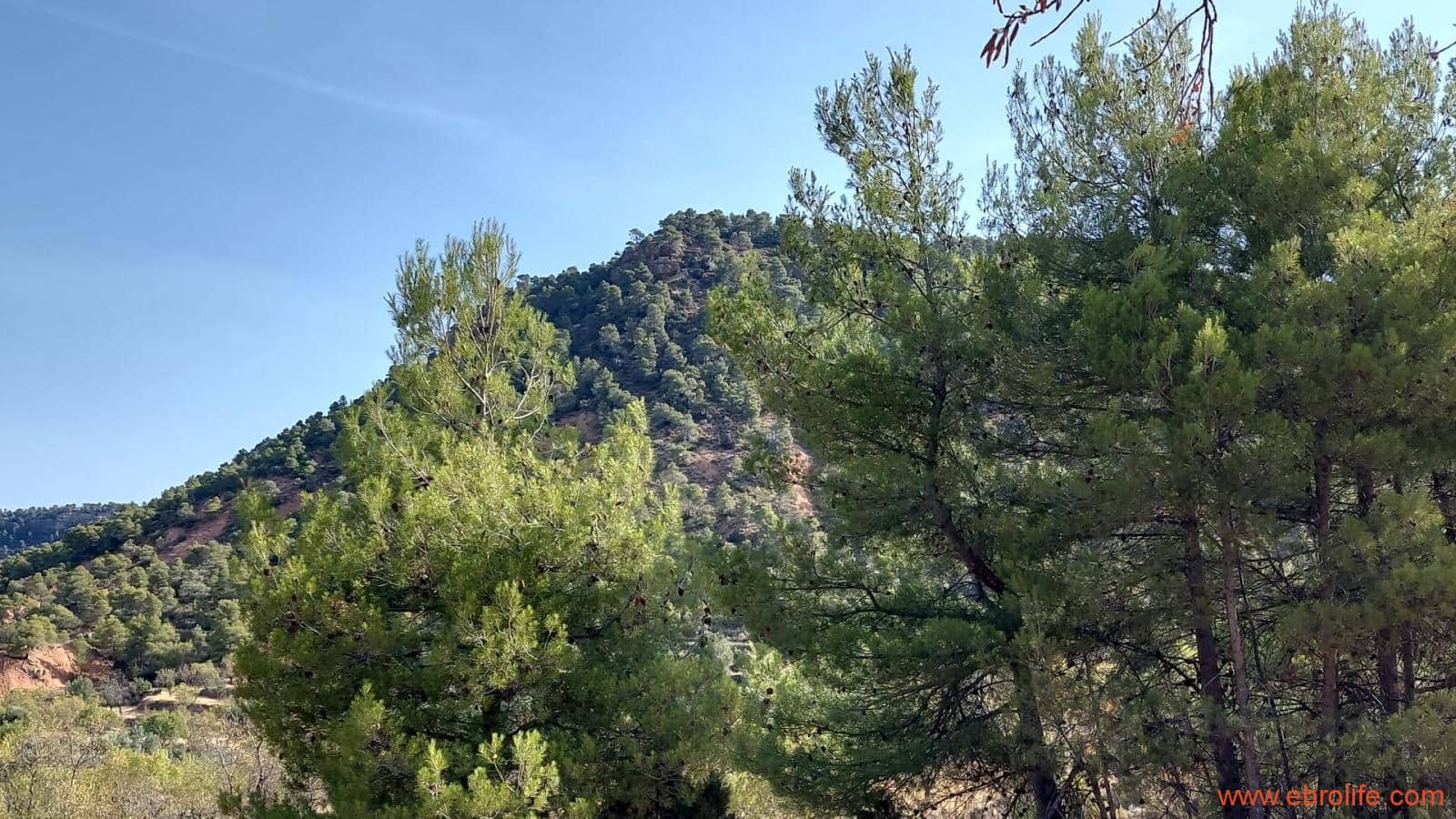 1 soveværelse Finca/Landehus til salg i Fuentespalda - € 33.000 (Ref: 7778722)