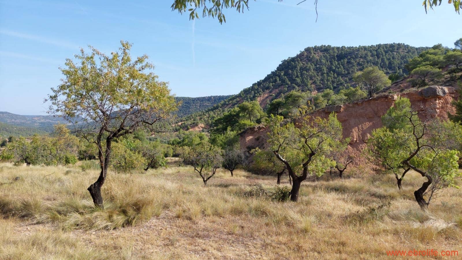 1 soveværelse Finca/Landehus til salg i Fuentespalda - € 33.000 (Ref: 7778722)