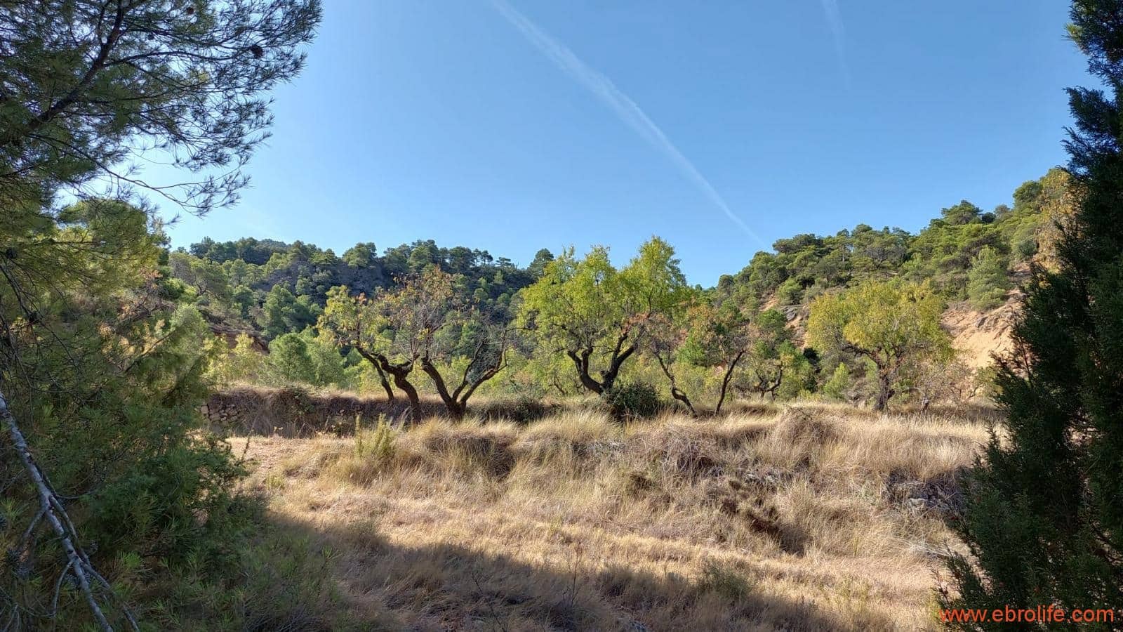 1 soveværelse Finca/Landehus til salg i Fuentespalda - € 33.000 (Ref: 7778722)