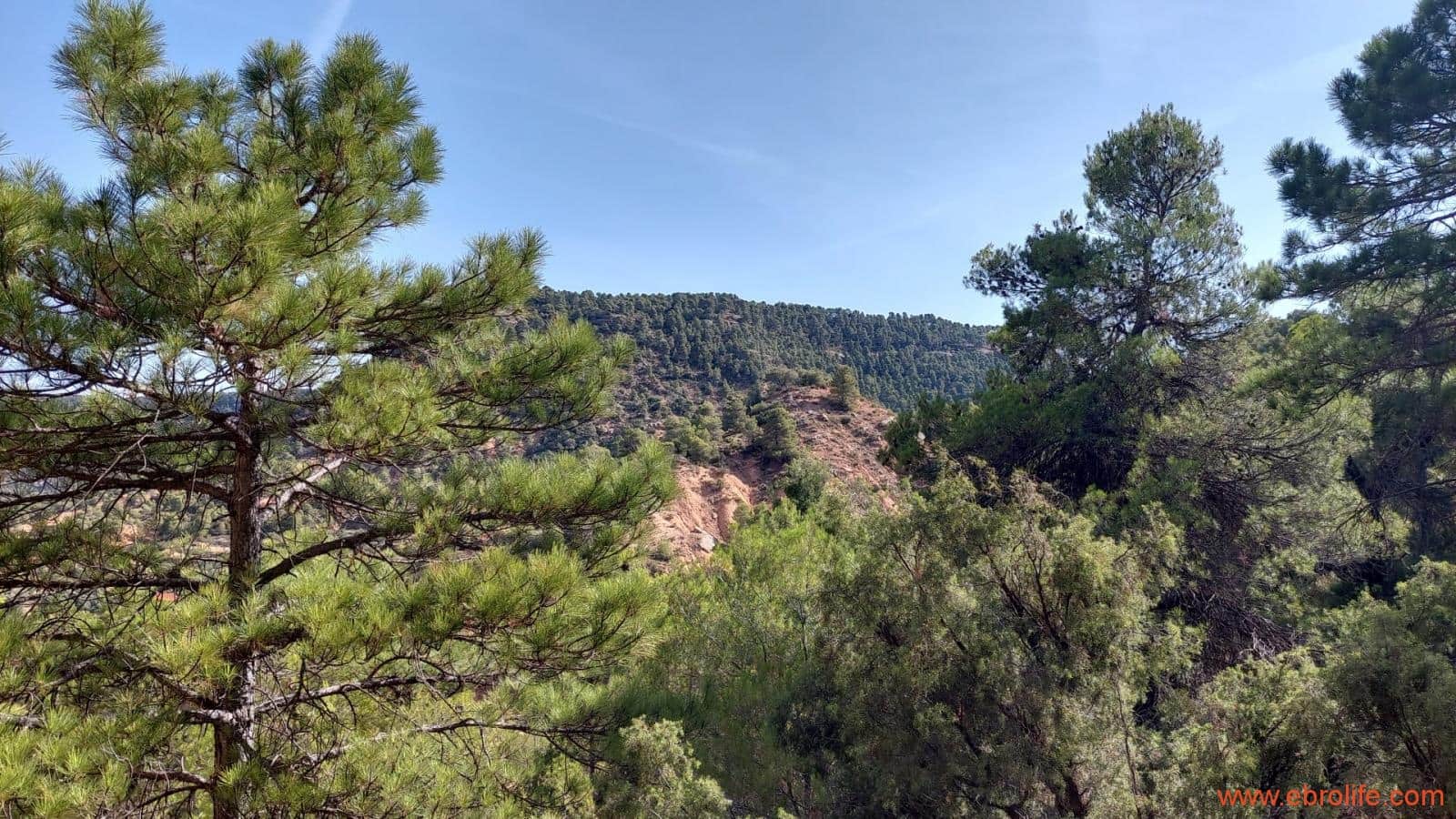 1 soveværelse Finca/Landehus til salg i Fuentespalda - € 33.000 (Ref: 7778722)