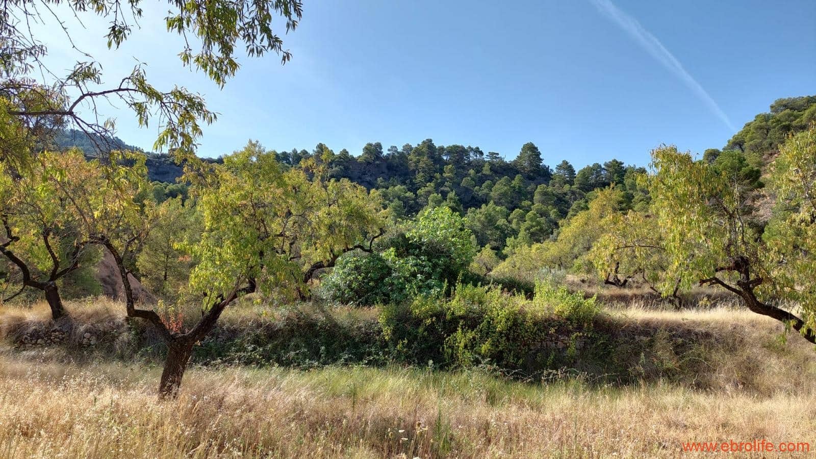 1 soveværelse Finca/Landehus til salg i Fuentespalda - € 33.000 (Ref: 7778722)