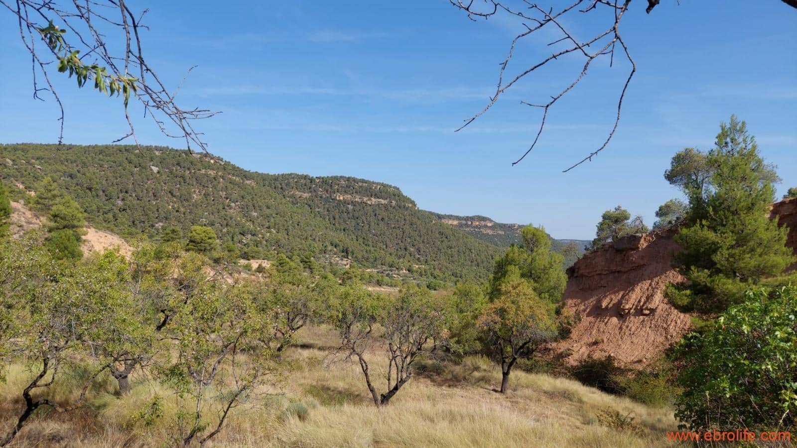 1 soveværelse Finca/Landehus til salg i Fuentespalda - € 33.000 (Ref: 7778722)