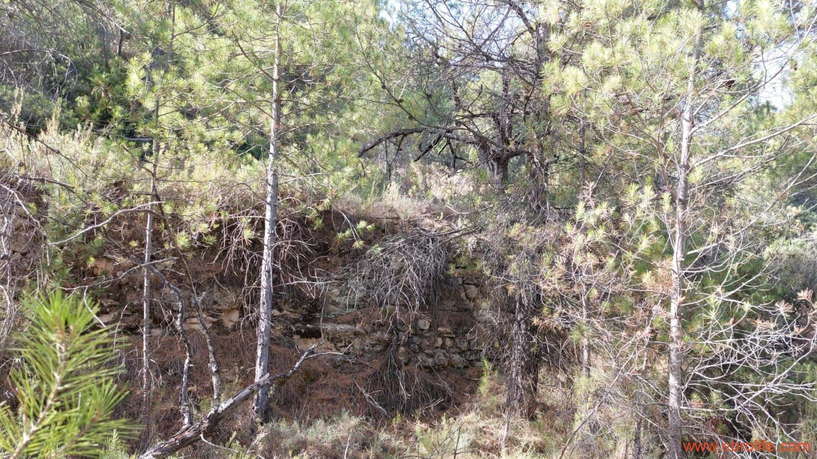 1 soveværelse Finca/Landehus til salg i Fuentespalda - € 33.000 (Ref: 7778722)