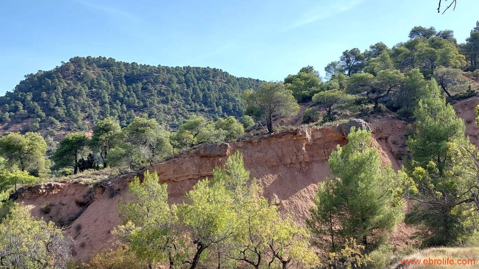 1 soveværelse Finca/Landehus til salg i Fuentespalda - € 33.000 (Ref: 7778722)