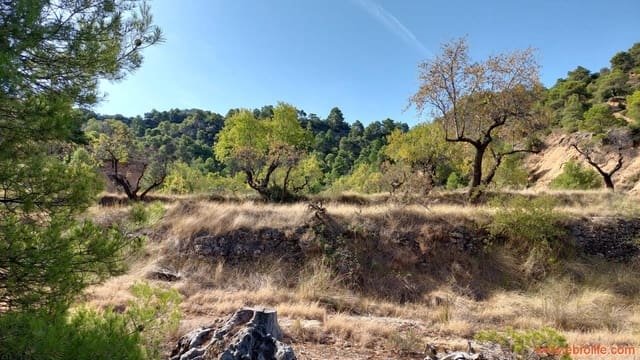 1 quarto Quinta/Casa Rural para venda em Fuentespalda - 33 000 € (Ref: 7778722)