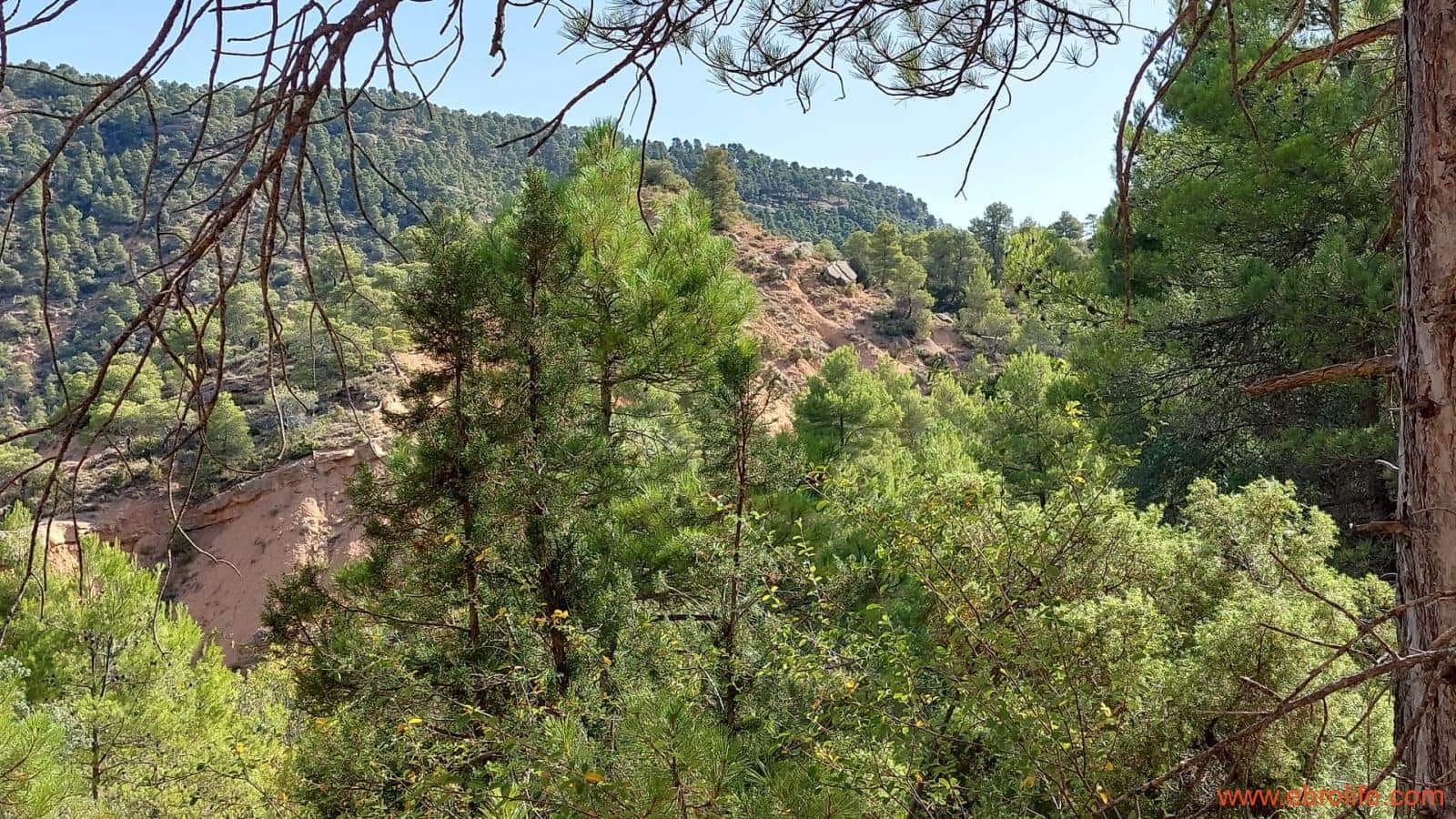 1 soveværelse Finca/Landehus til salg i Fuentespalda - € 33.000 (Ref: 7778722)