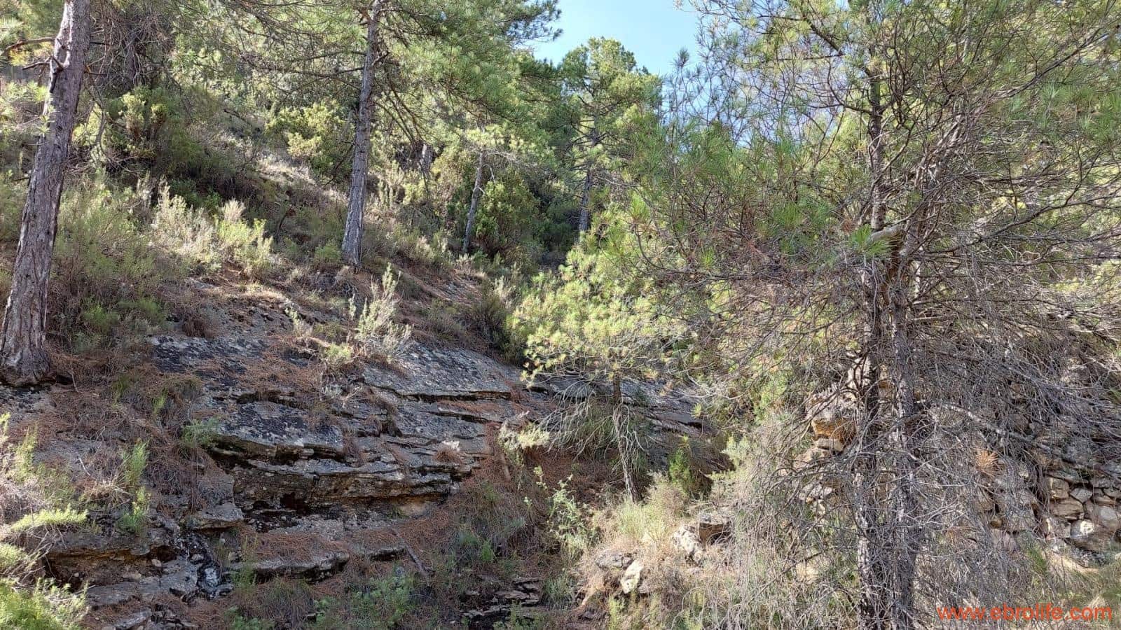 1 soveværelse Finca/Landehus til salg i Fuentespalda - € 33.000 (Ref: 7778722)