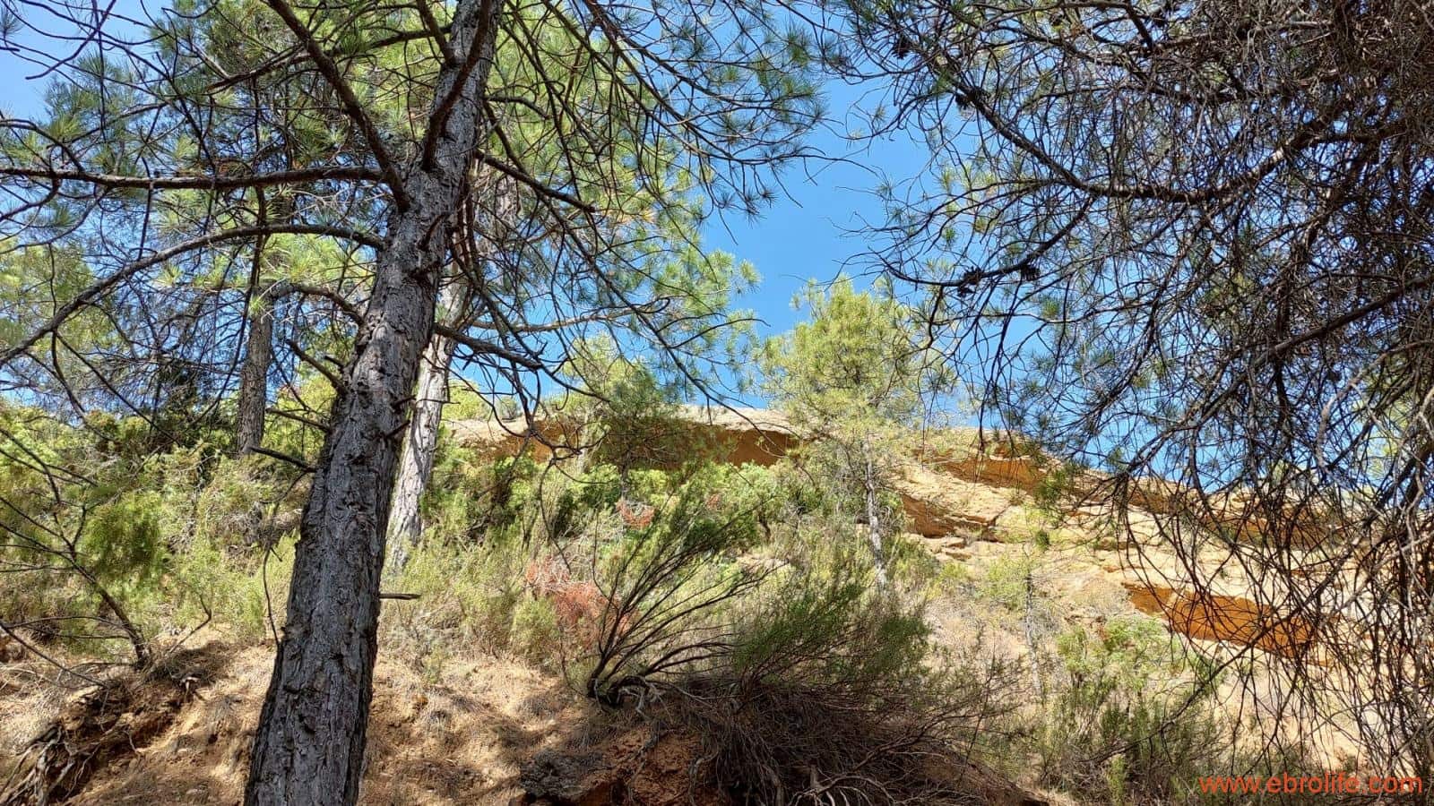 1 soveværelse Finca/Landehus til salg i Fuentespalda - € 33.000 (Ref: 7778722)