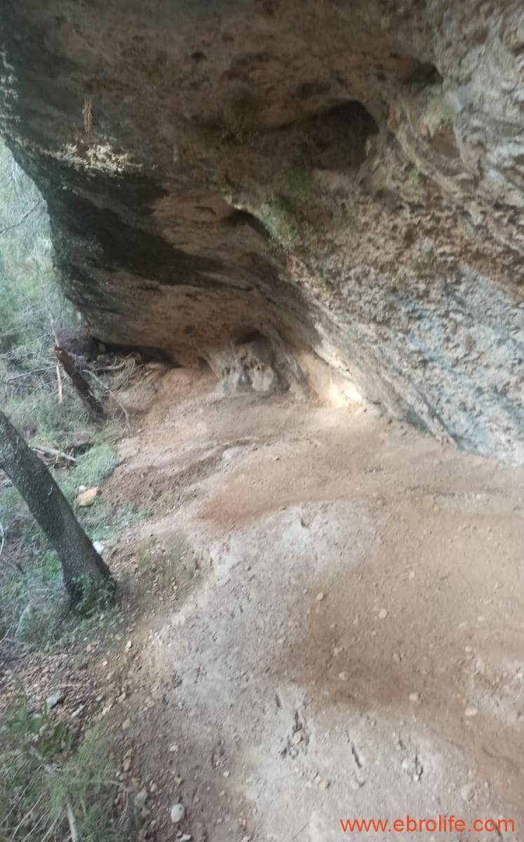 1 soverom Finca/Herregård til salgs i Fornoles - € 110 000 (Ref: 7842927)