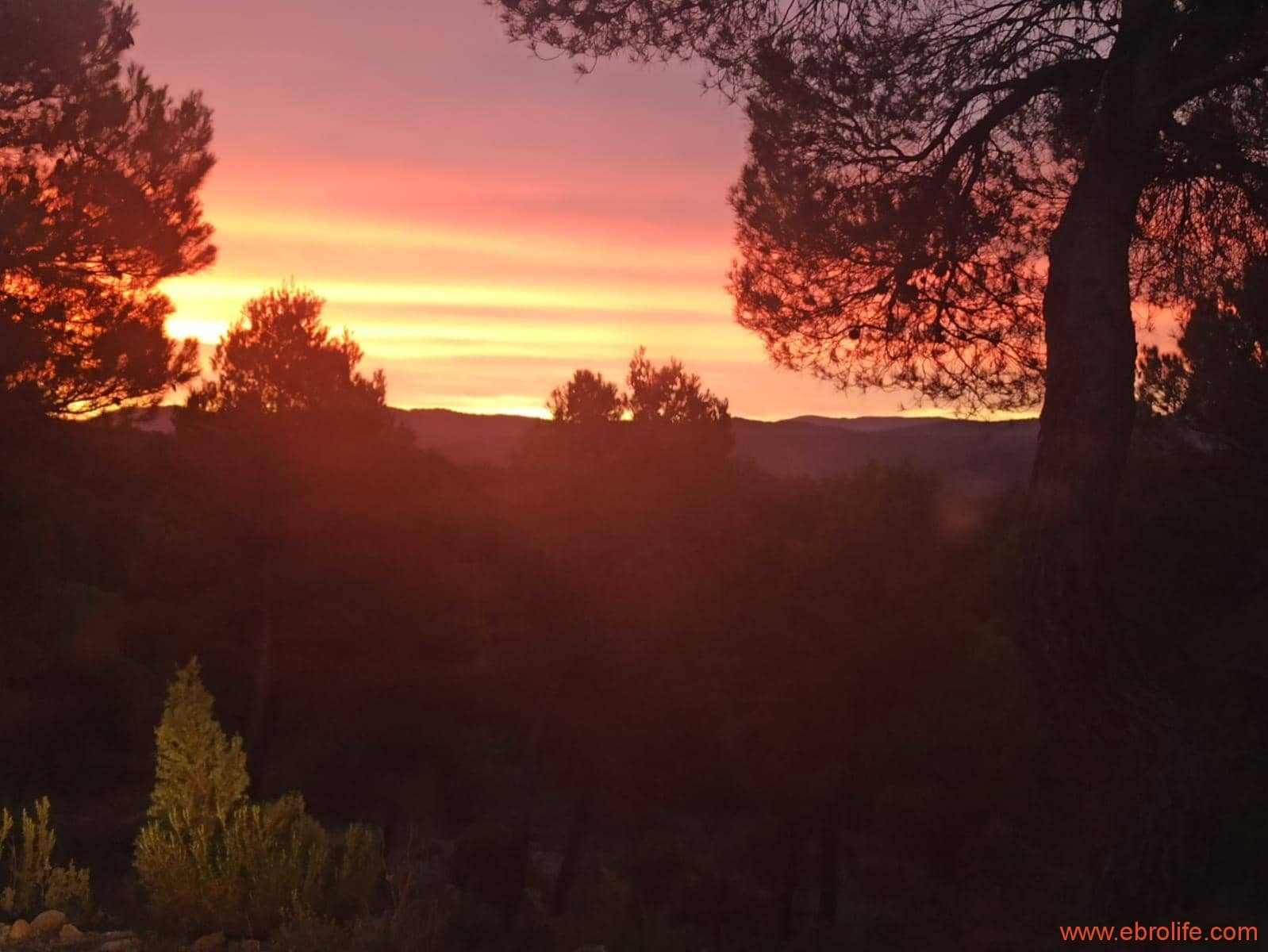 1 soverom Finca/Herregård til salgs i Fornoles - € 110 000 (Ref: 7842927)