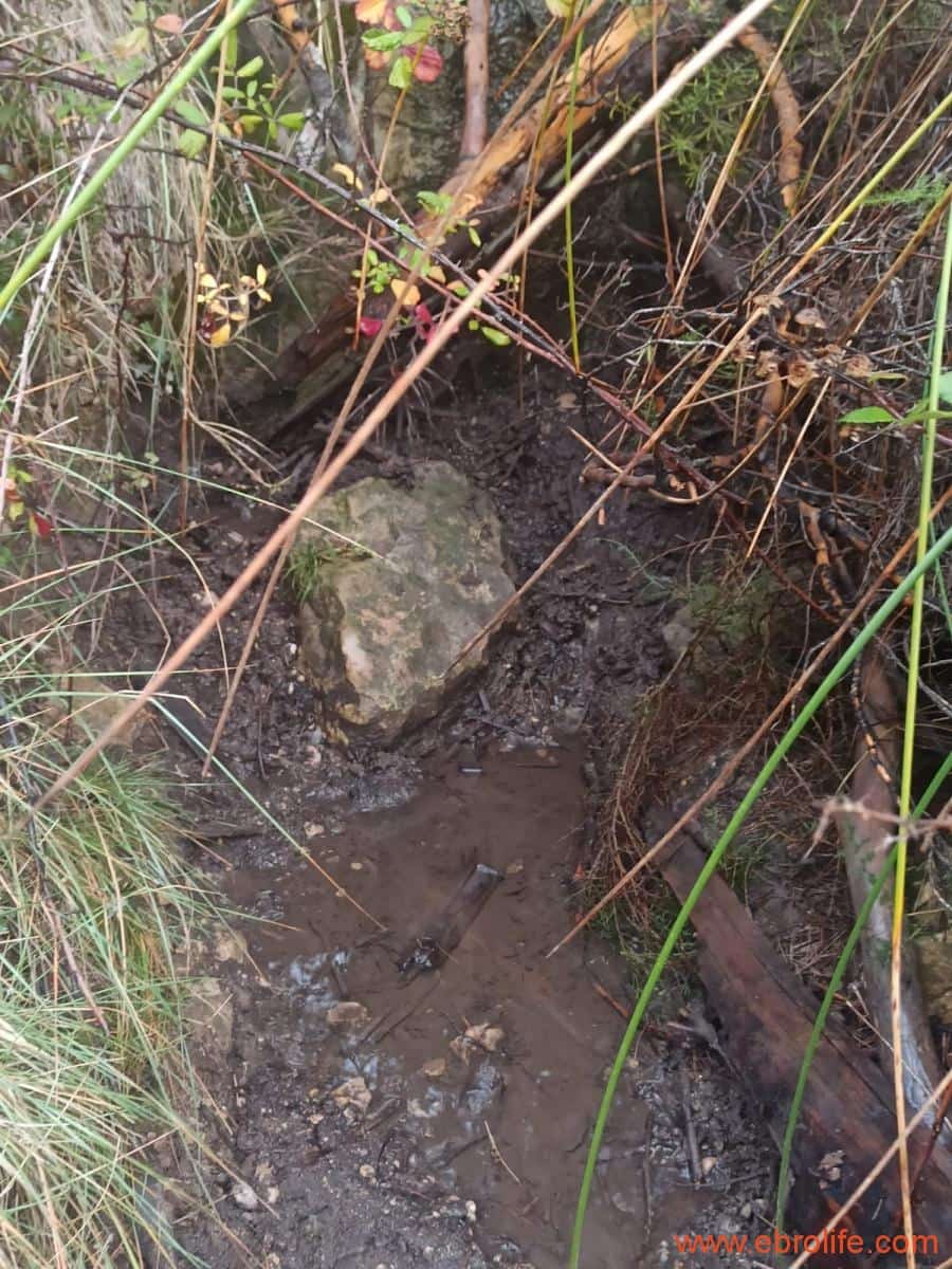 1 soverom Finca/Herregård til salgs i Fornoles - € 110 000 (Ref: 7842927)