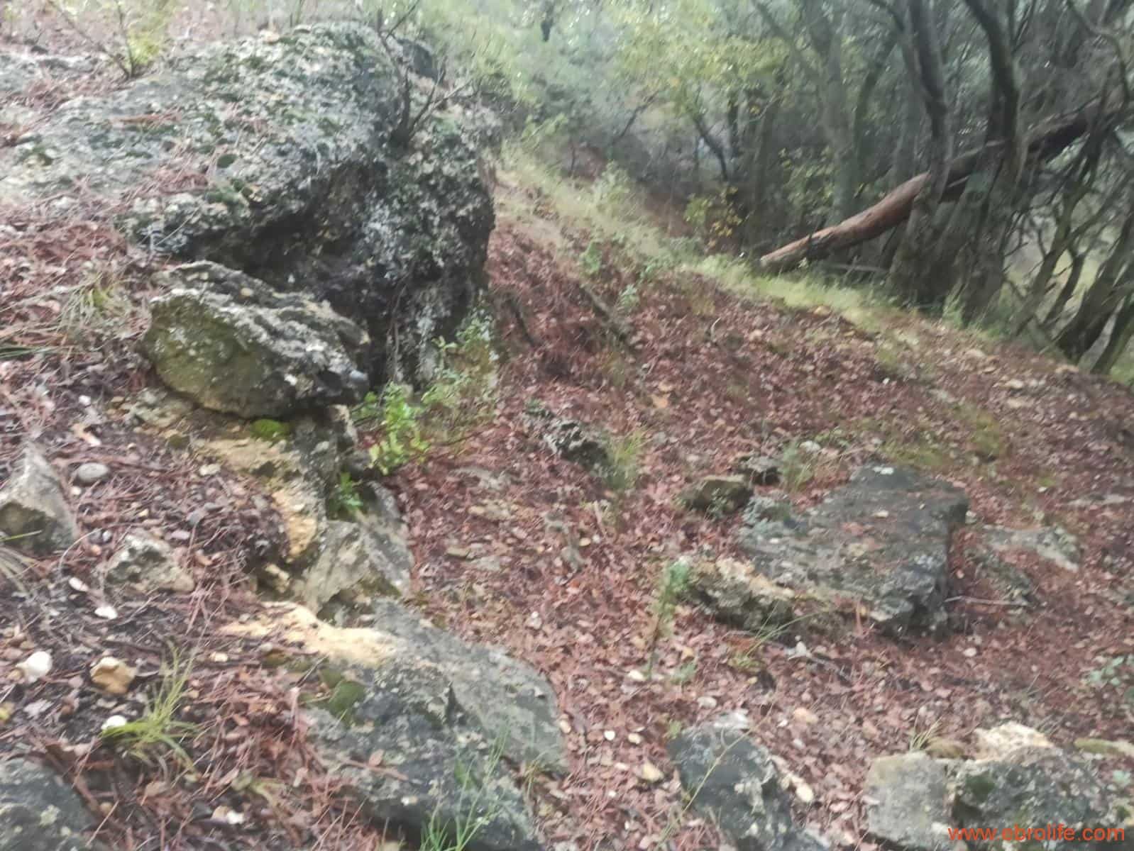 1 soverom Finca/Herregård til salgs i Fornoles - € 110 000 (Ref: 7842927)