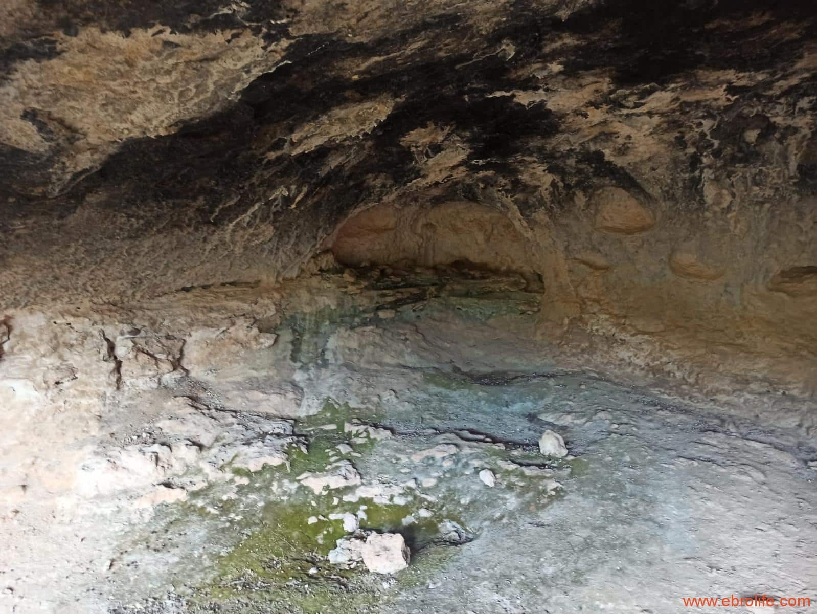 1 soverom Finca/Herregård til salgs i Fornoles - € 110 000 (Ref: 7842927)