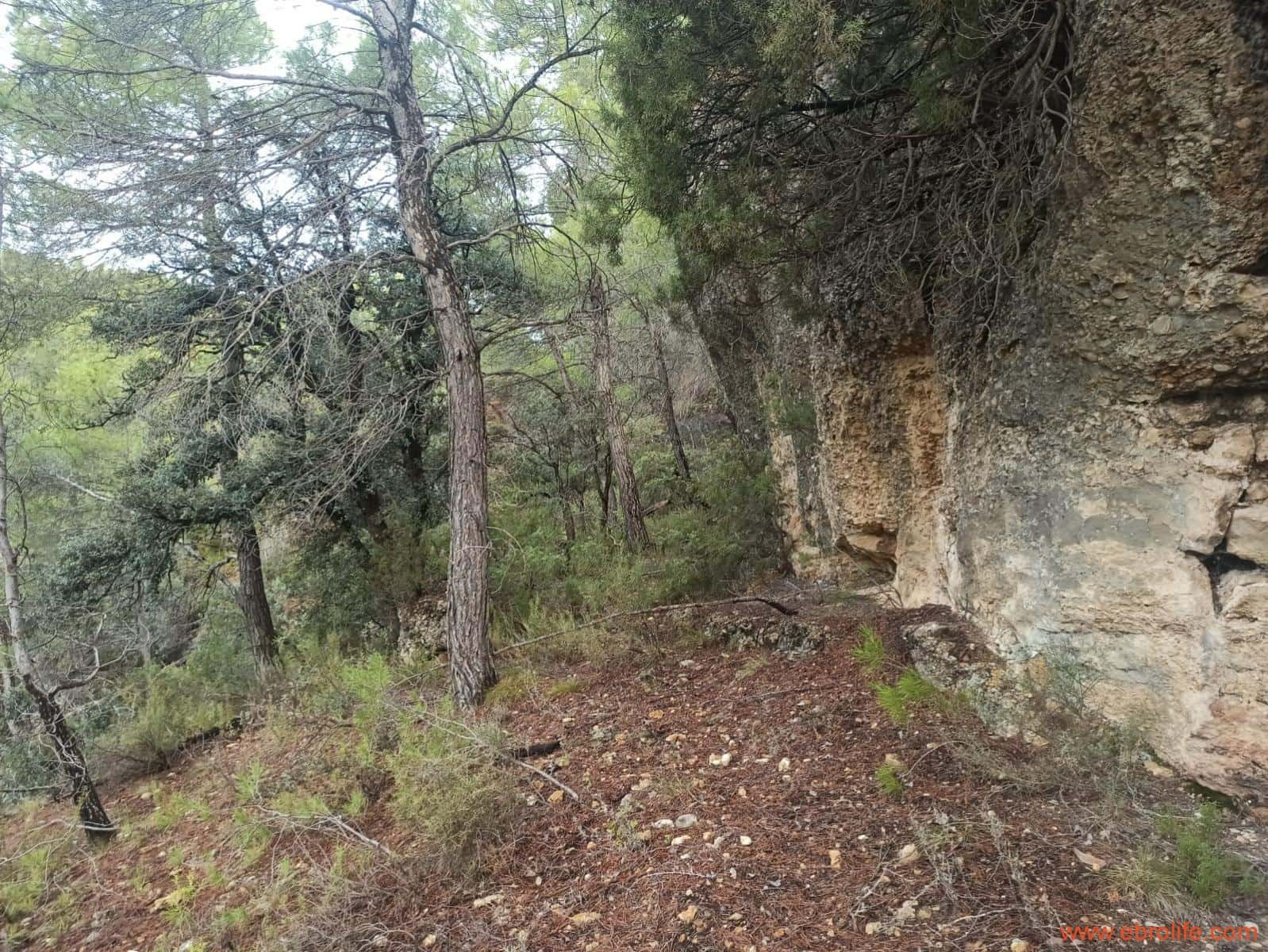 1 soverom Finca/Herregård til salgs i Fornoles - € 110 000 (Ref: 7842927)