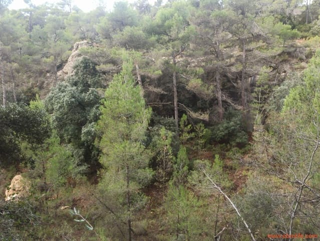 1 bedroom Finca/Country House for sale in Fórnoles - € 110,000 (Ref: 7842927)