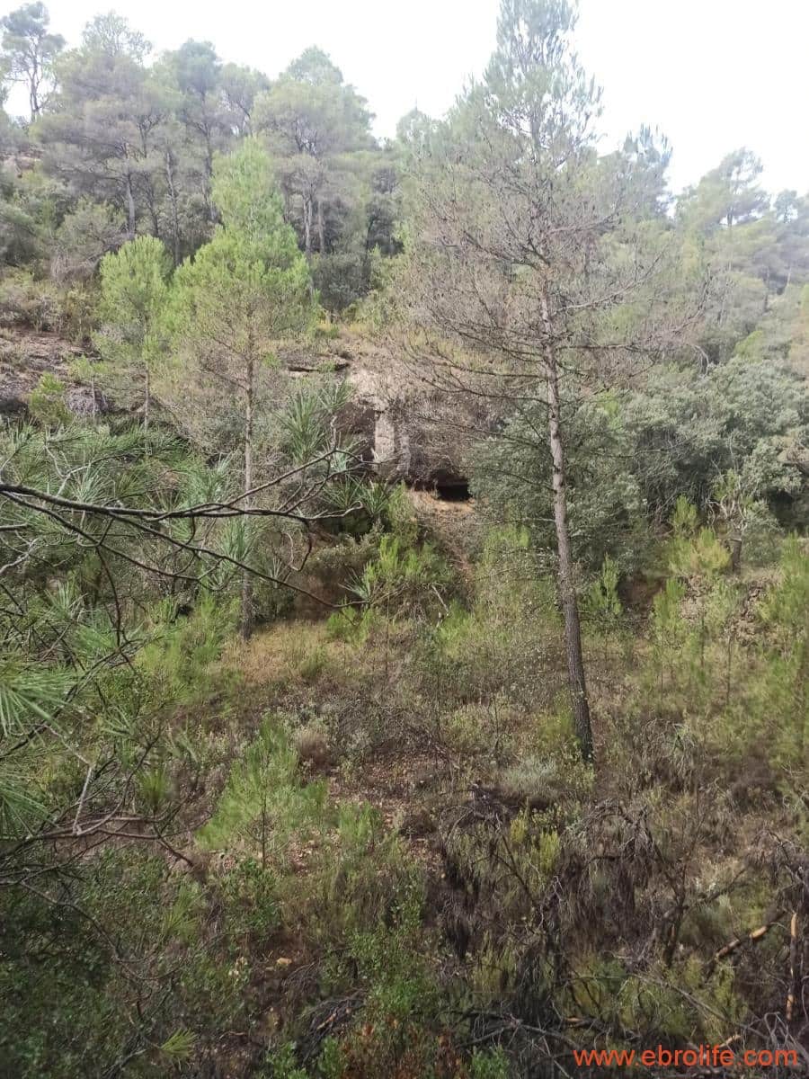 1 soverom Finca/Herregård til salgs i Fornoles - € 110 000 (Ref: 7842927)