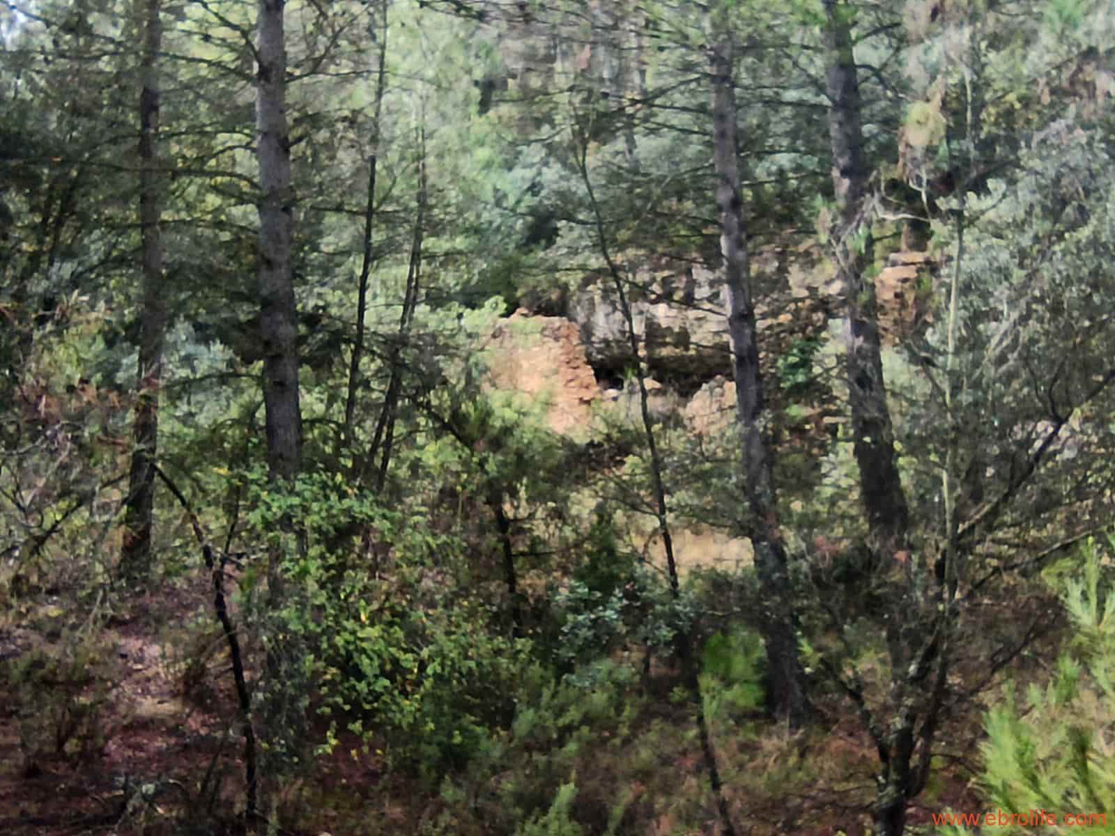 1 soverom Finca/Herregård til salgs i Fornoles - € 110 000 (Ref: 7842927)