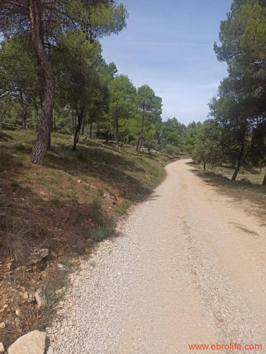 1 soverom Finca/Herregård til salgs i Fornoles - € 110 000 (Ref: 7842927)