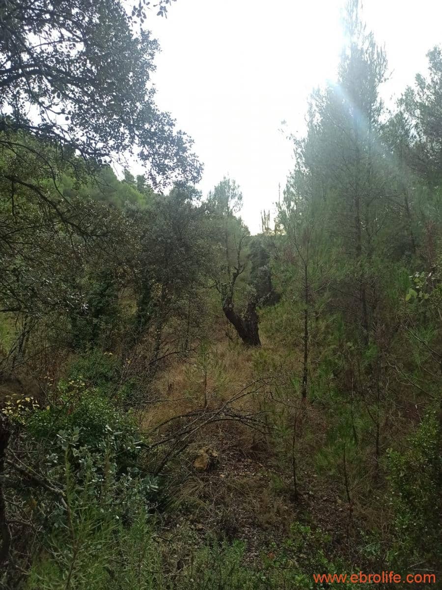 1 soverom Finca/Herregård til salgs i Fornoles - € 110 000 (Ref: 7842927)