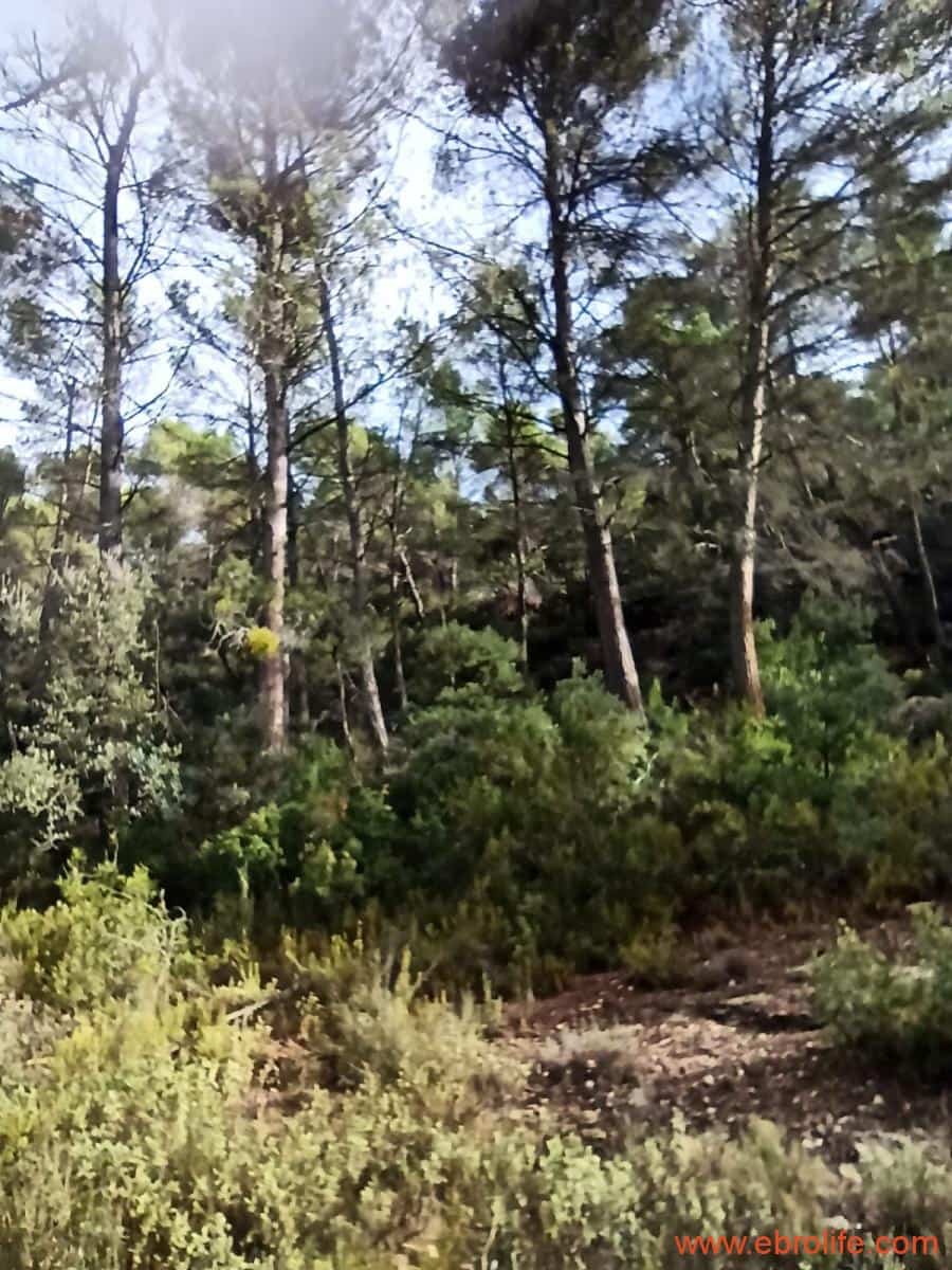 1 soverom Finca/Herregård til salgs i Fornoles - € 110 000 (Ref: 7842927)