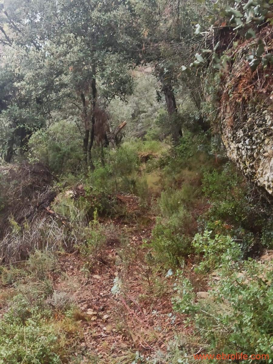 1 soverom Finca/Herregård til salgs i Fornoles - € 110 000 (Ref: 7842927)