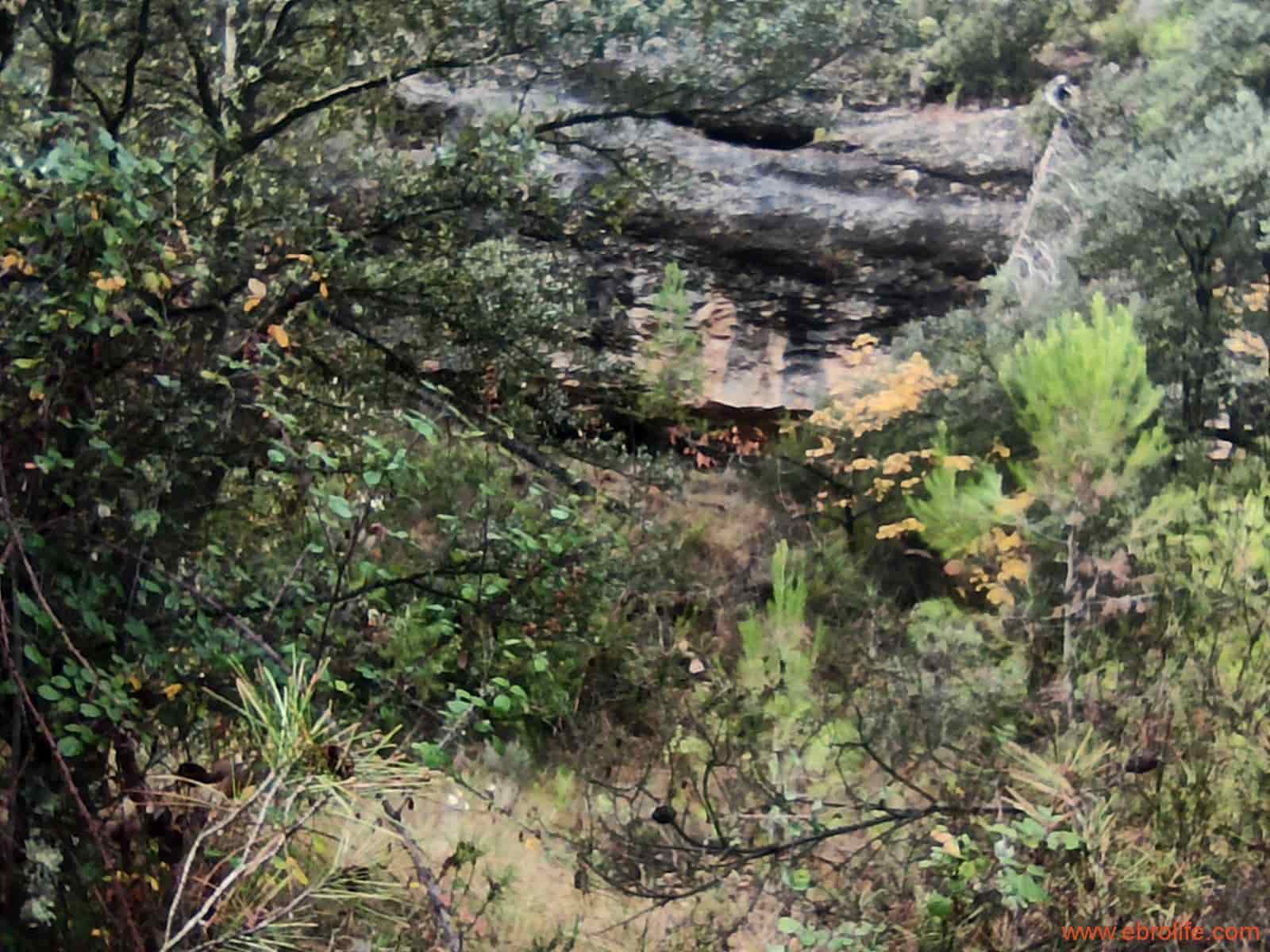 1 soverom Finca/Herregård til salgs i Fornoles - € 110 000 (Ref: 7842927)