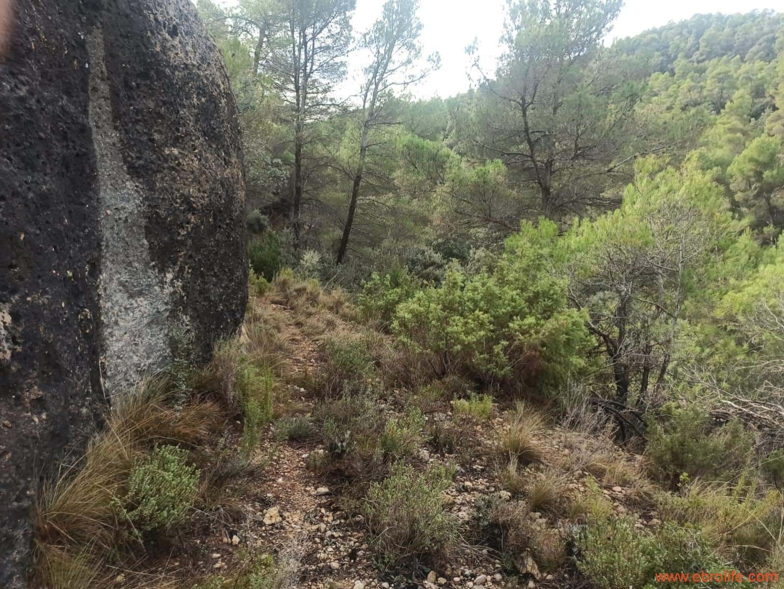 1 soverom Finca/Herregård til salgs i Fornoles - € 110 000 (Ref: 7842927)