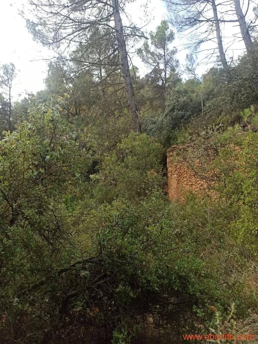 1 soverom Finca/Herregård til salgs i Fornoles - € 110 000 (Ref: 7842927)